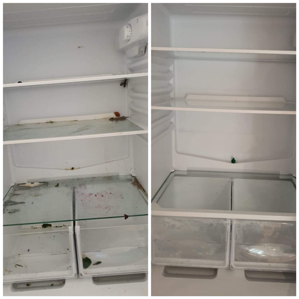 cleaning services london